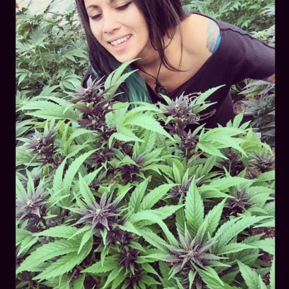 Meet your Posher, Michelle lin